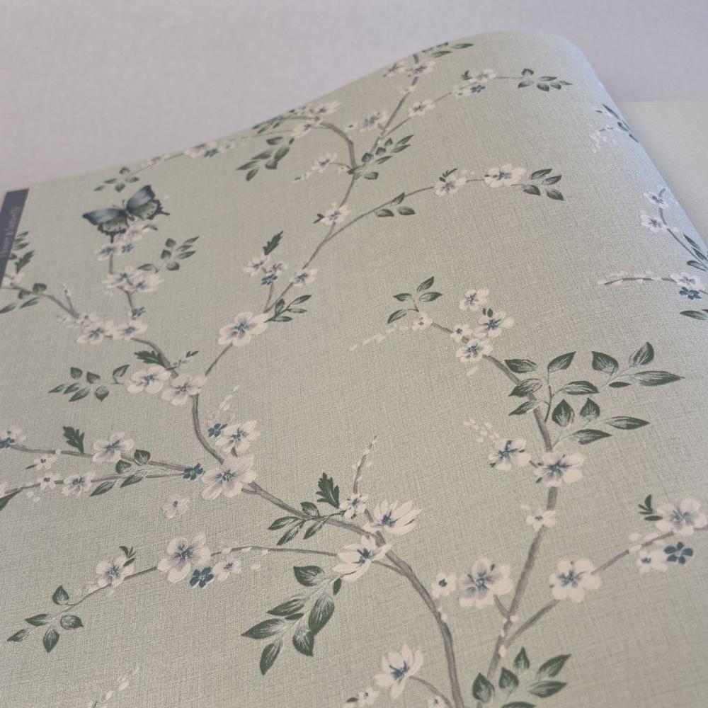 Andrea Rossi Spectrum Box 54460-5