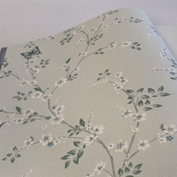 Andrea Rossi Spectrum Box 54460-5