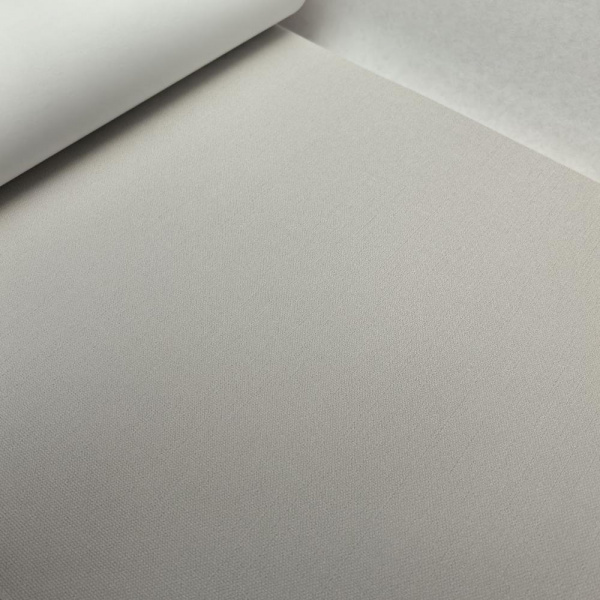 Andrea Rossi Berggi 54448-3