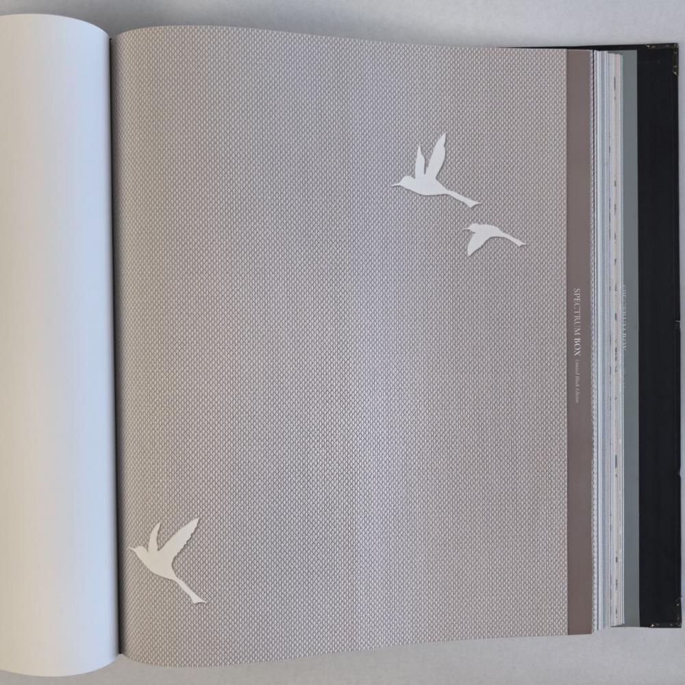 Andrea Rossi Spectrum Box 54458-11