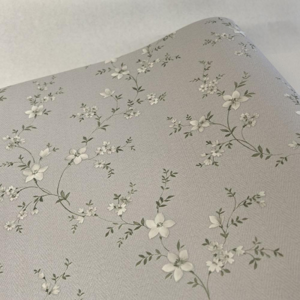 Alessandro Allori Bruni RBN 1001-3