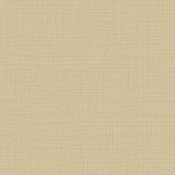 Alessandro Allori Giorgio RGI 1010-9