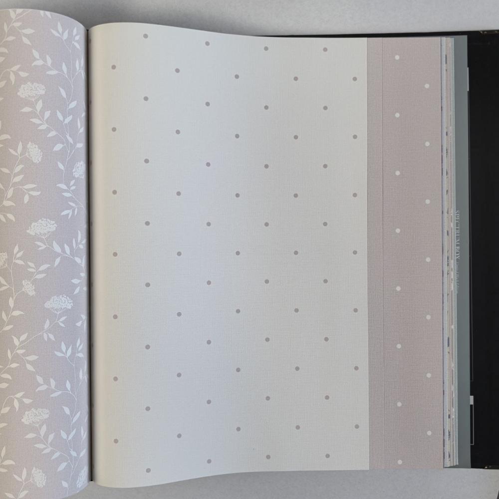 Andrea Rossi Spectrum Box 54454-18